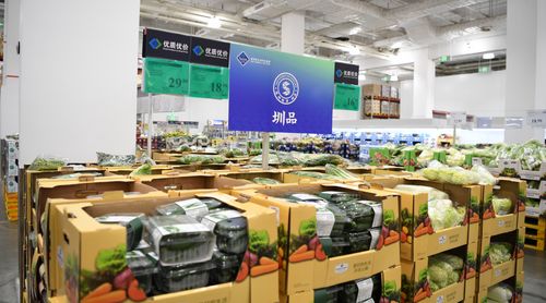 厦门网络技术开发 数字浪潮下的创新高地与产业升级